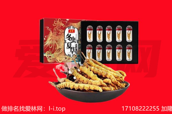 南郑区回收虫草.jpg